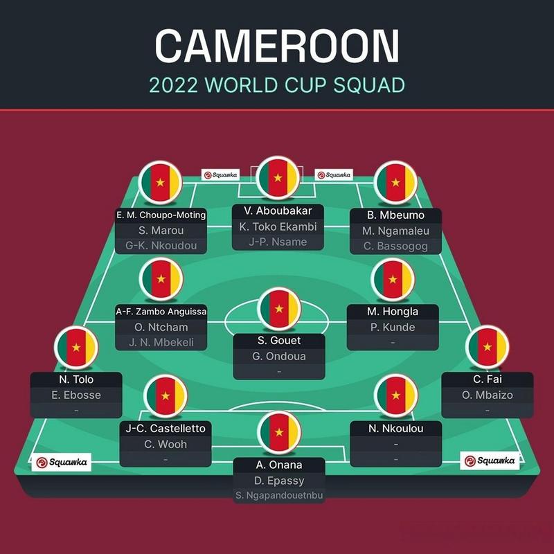 喀麦隆vs塞尔维亚预测比分 喀麦隆vs塞尔维亚预测比分结果