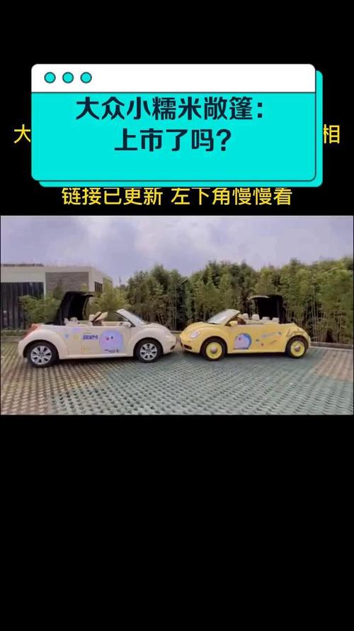 大众敞篷小糯米报价 大众敞篷小糯米报价表