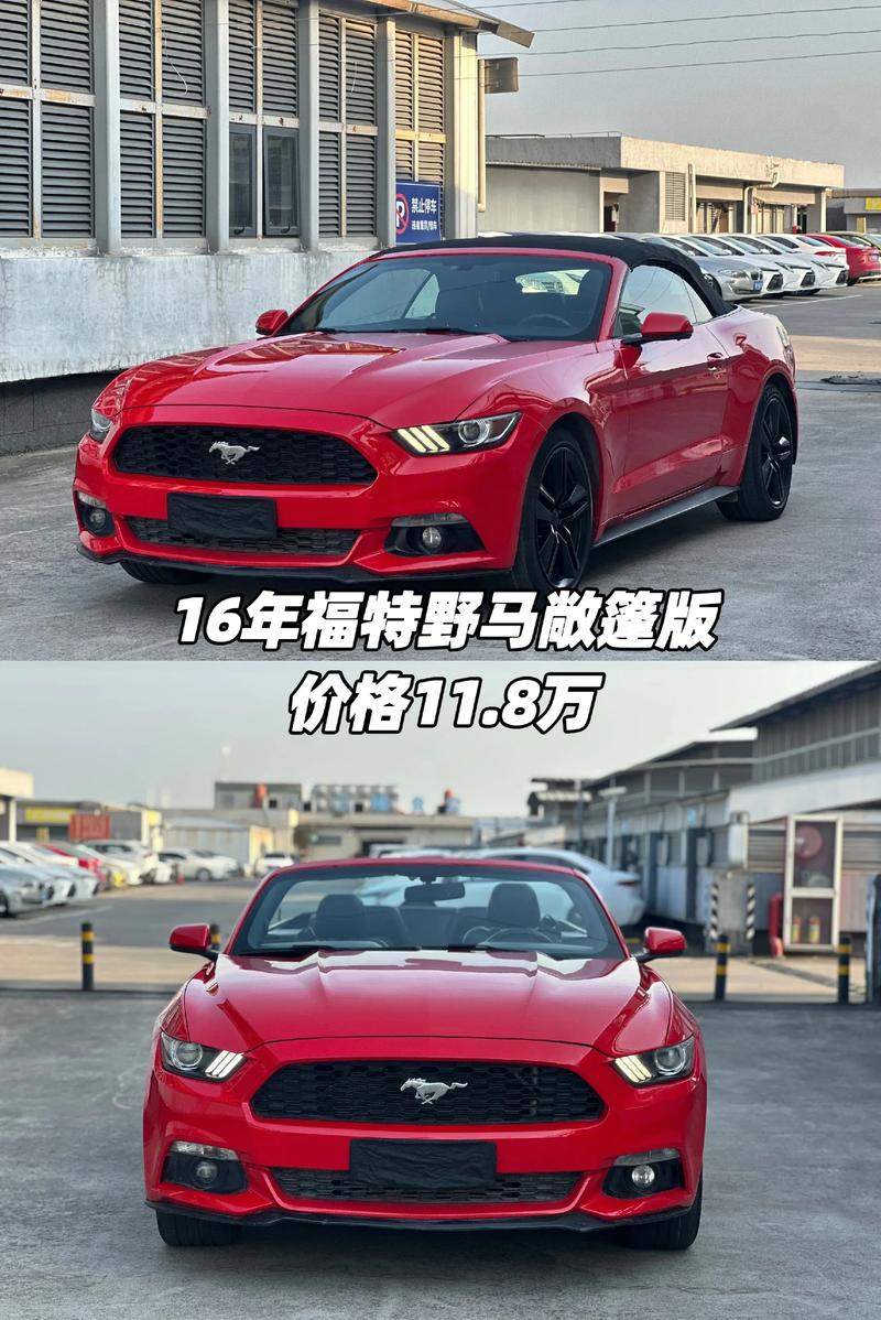 野马跑车的图片和价格图片／野马跑车车价格多少钱一辆