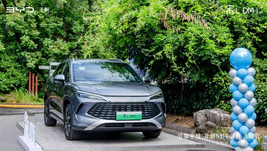 比亚迪宋(比亚迪宋ldmi)