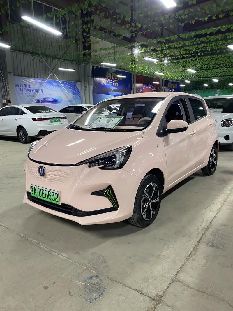 新能源奔奔图片及价格 2020新款新能源奔奔