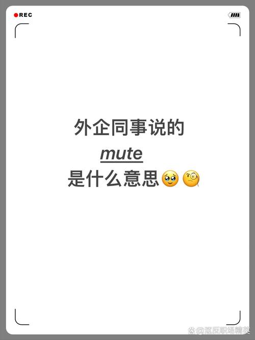 mute是什么意思,MUTE是什么意思中文