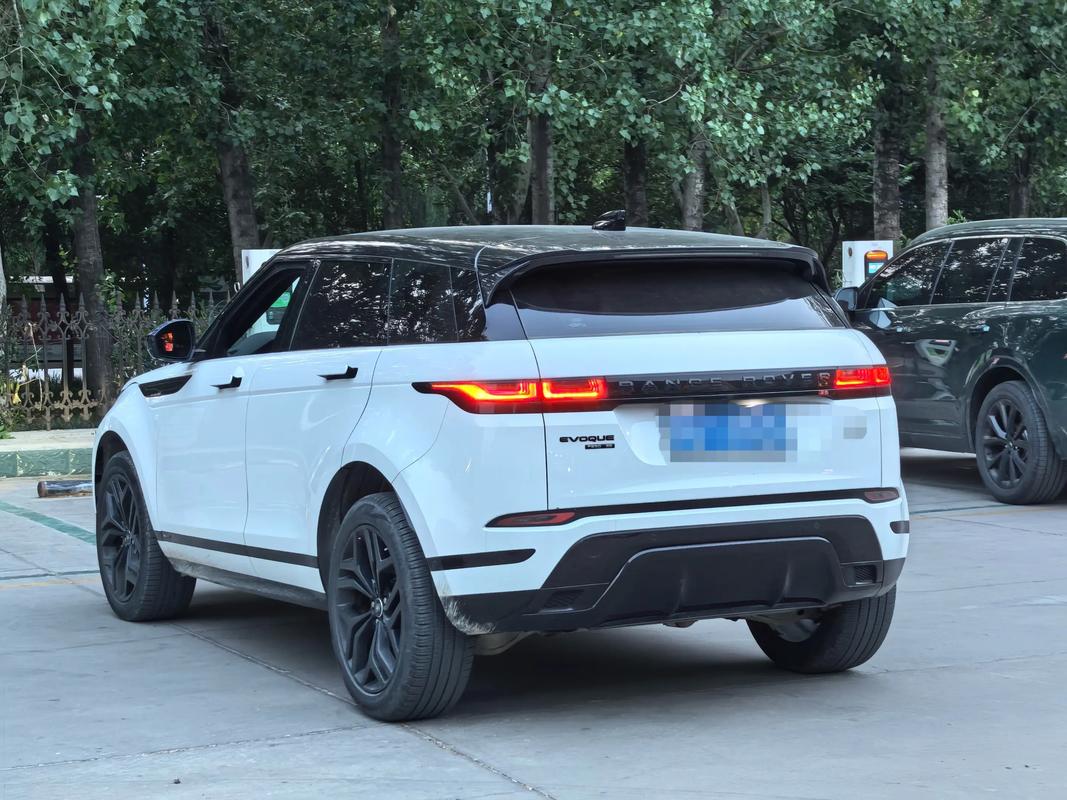 揽胜极光通病(揽胜极光couple)