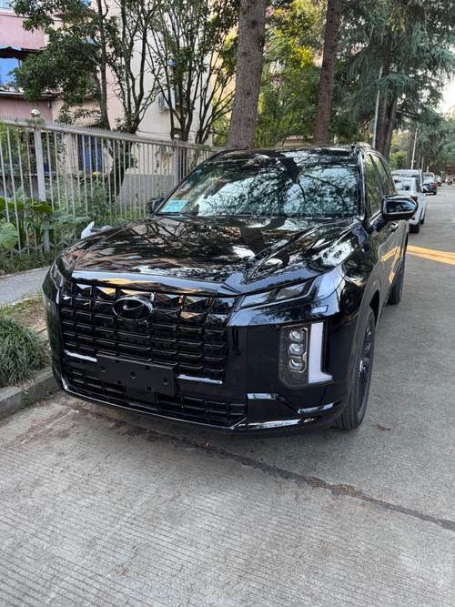 帕里斯帝评测,帕里斯帝2020